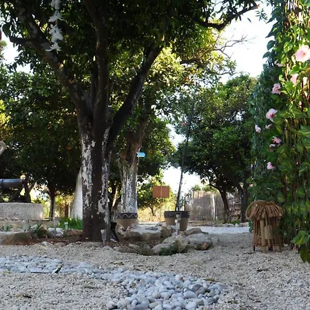 Little 2 Himare